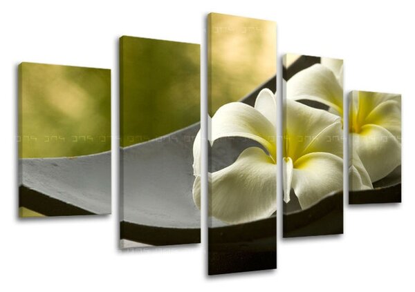 Tablouri canvas 5 - piese FENG SHUI FS031E50