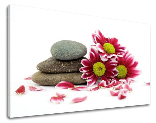 Tablouri canvas FENG SHUI FS034E11