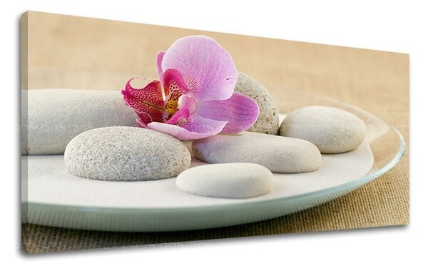 Tablouri canvas FENG SHUI Panorama FS042E13