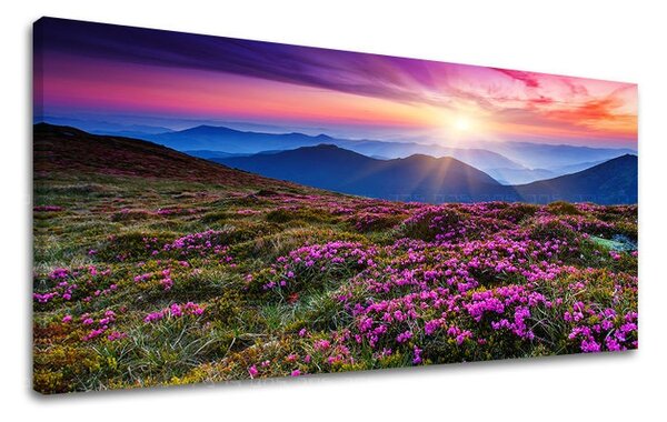 Tablouri canvas PEISAJE Panorama KR006E13