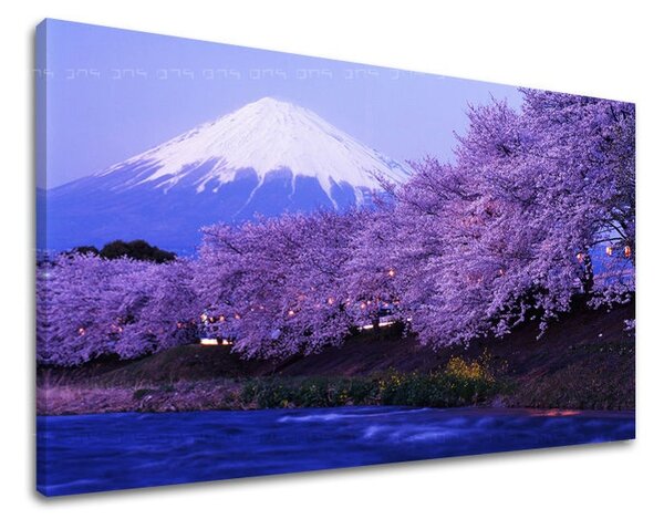 Tablouri canvas PEISAJE KR002E11