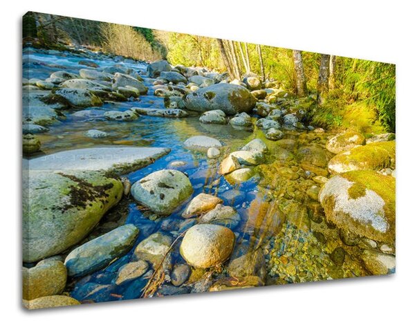 Tablouri canvas PEISAJE KR007E11