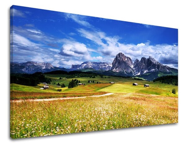 Tablouri canvas PEISAJE KR032E11