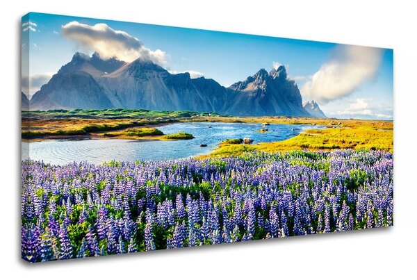 Tablouri canvas PORT_047 - 13