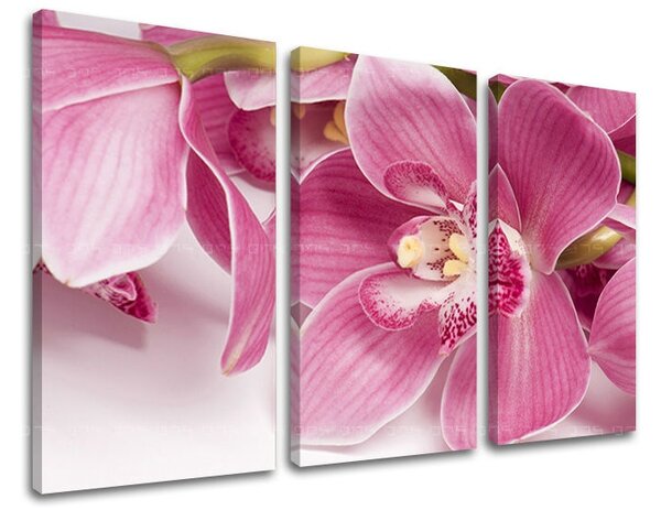 Tablouri canvas 3 - piese FLORI KV034E30