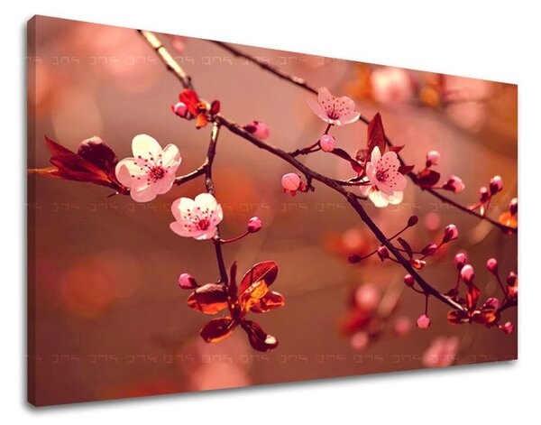Tablouri canvas FLORI KV032E11