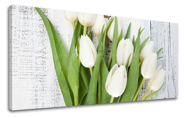 Tablouri canvas FLORI Panorama KV036E13