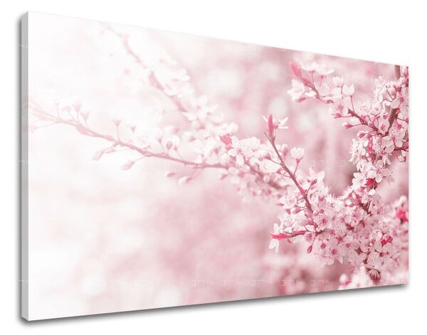 Tablouri canvas FLORI KV063E11