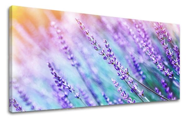 Tablouri canvas FLORI Panorama KV064E13