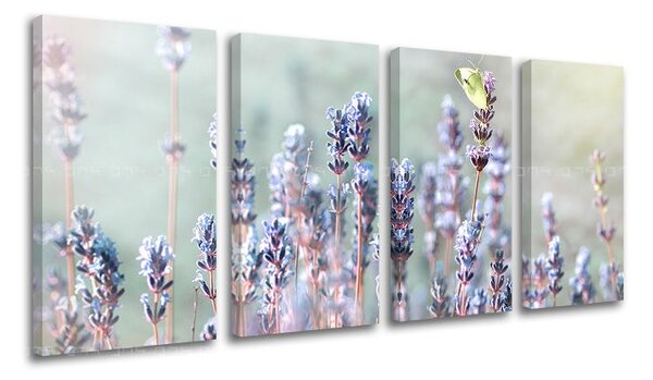 Pictură murală în 4 părți FLOWERS KV077E41