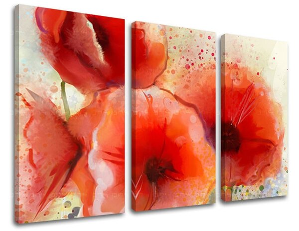 Tablouri canvas 3 - piese FLORI KV076E30