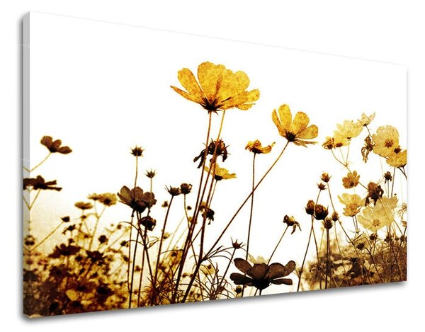Tablouri canvas FLORI KV143E11