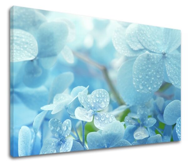 Tablouri canvas ALBASTRE FLORI_152 - 11