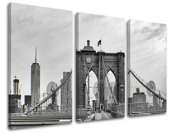Tablouri canvas 3 - piese ORAȘE - NEW YORK ME114E30