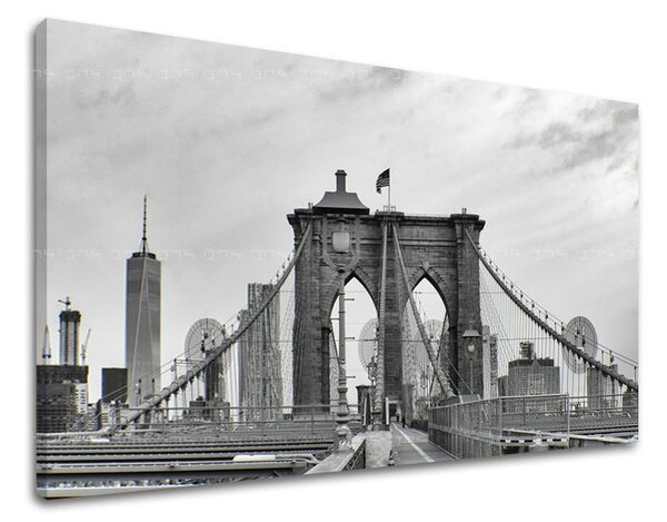 Tablouri canvas ORAȘE - NEW YORK ME114E11
