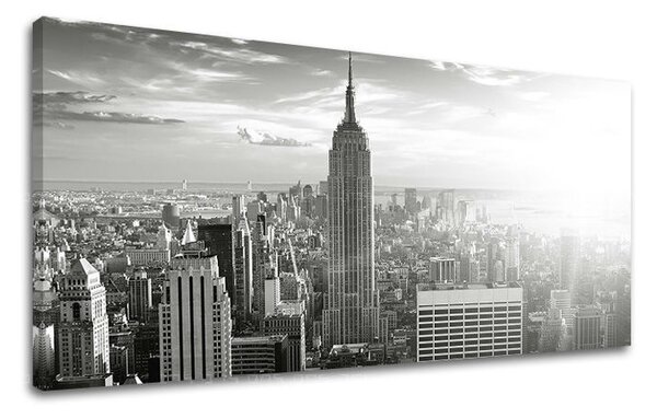 Tablouri canvas ORAȘE Panorama - NEW YORK ME134E13