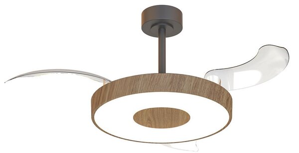 Ventilator de tavan inteligent cu LED-uri Coin, lemn/negru, silențios - Mantra Mantra Iluminación, Coin, reglabil, Lemn, Camera de zi, Metal, Modern