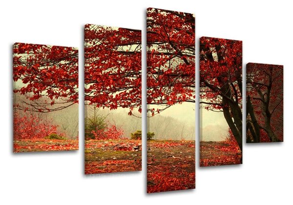 Tablouri canvas 5 - piese COPACI ST017E50