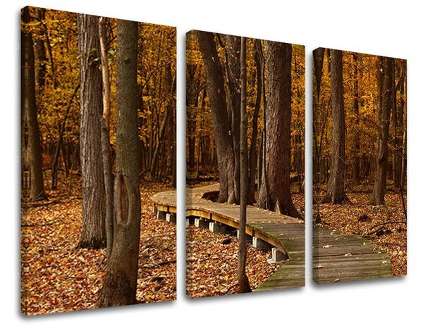 Tablouri canvas 3 - piese COPACI ST018E30