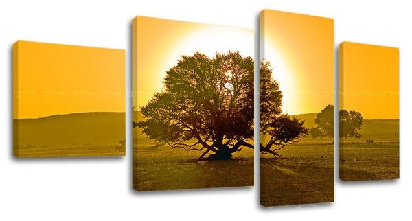 Pictură murală în 4 părți ARBORI ST024E40