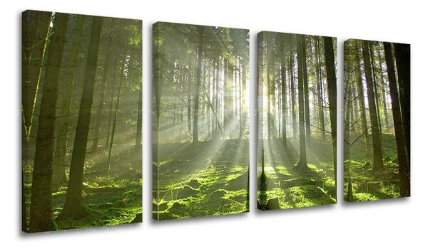 Pictură murală în 4 părți ARBORI ST021E41