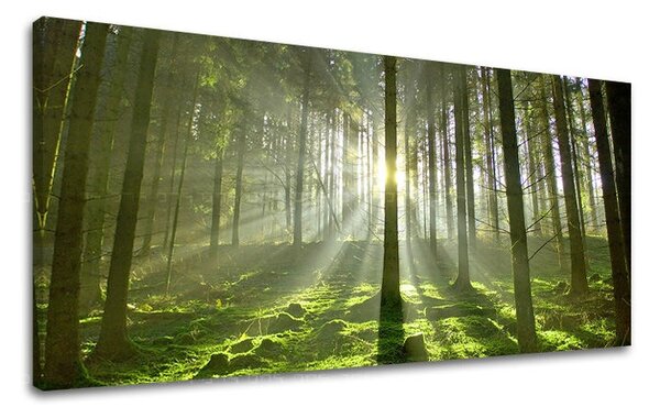 Tablouri canvas COPACI Panorama ST021E13