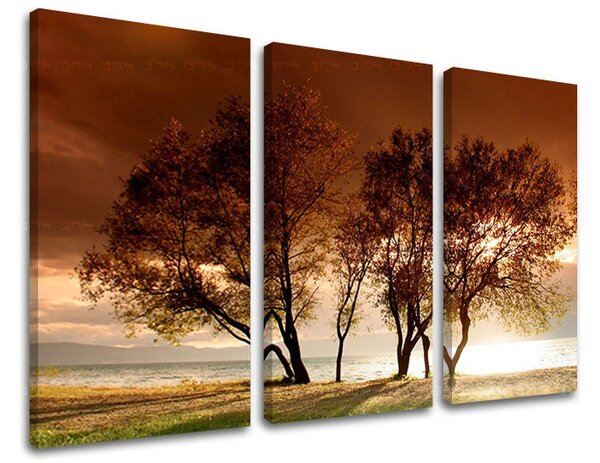 Tablouri canvas 3 - piese COPACI ST026E30
