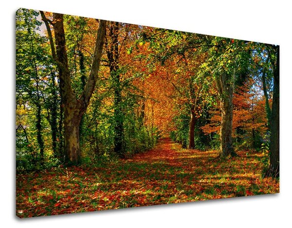 Tablouri canvas COPACI ST033E11