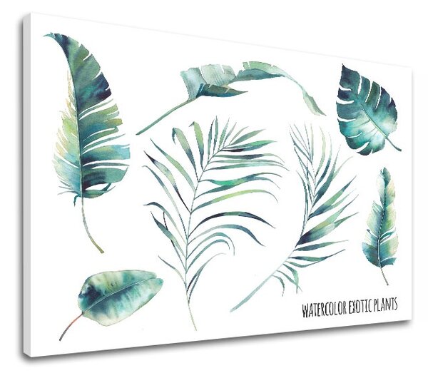 Tablouri canvas cu text Watercolor exotic plants