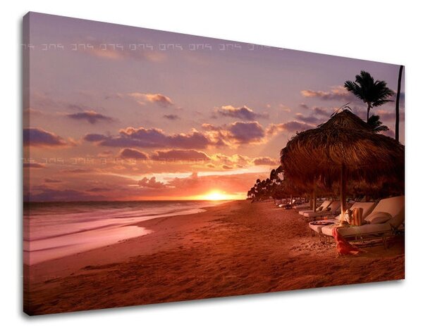 Tablouri canvas APUS DE SOARE ZS003E11