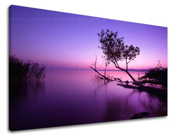 Tablouri canvas APUS DE SOARE ZS006E11