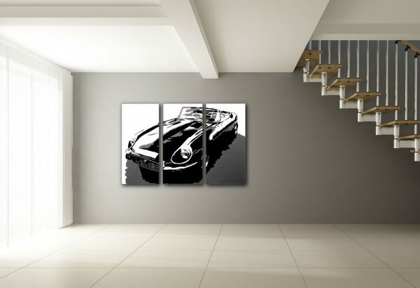 Tablou pictat manual POP Art JAGUAR 3 - piese