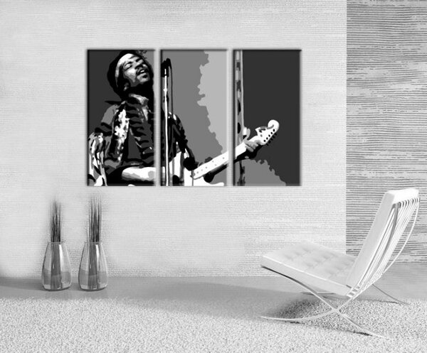 Tablou pictat manual POP Art Jimmy Hendrix 3 - piese