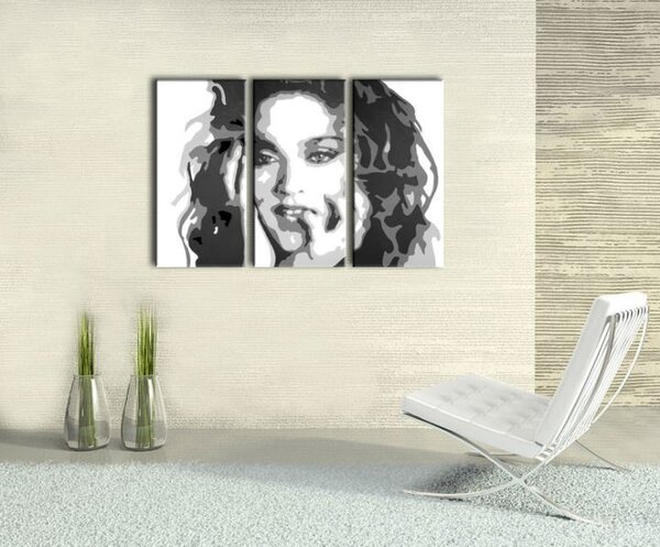 Tablou pictat manual POP Art MADONNA 3 - piese