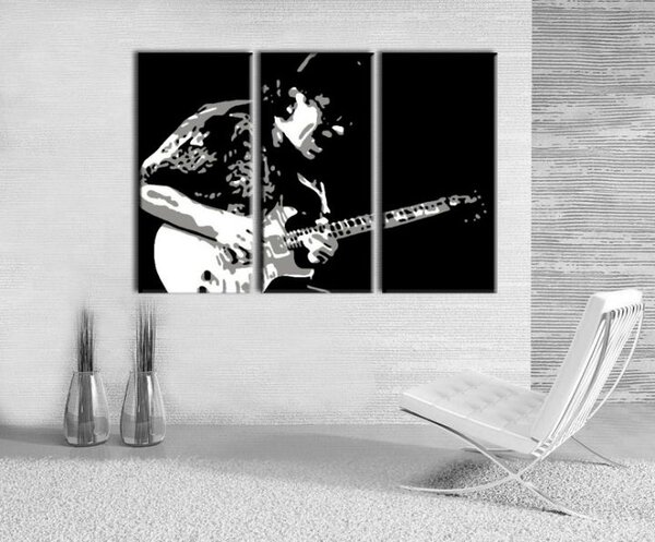 Tablou pictat manual POP Art Santana 3 - piese