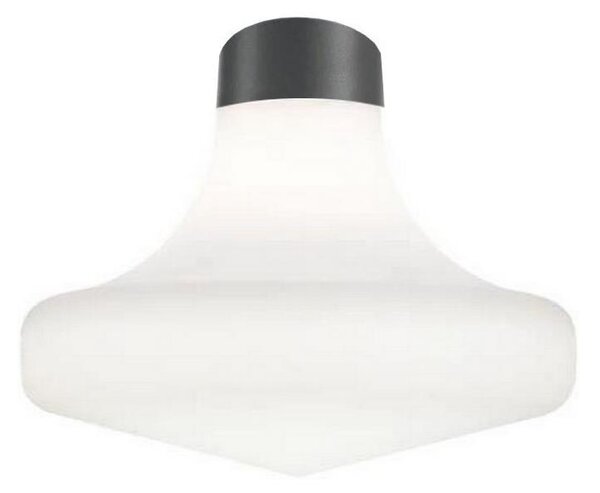 Ideal Lux - Plafonieră pentru exterior CLIO, 1xE27, 42W, 230V, IP44, antracit