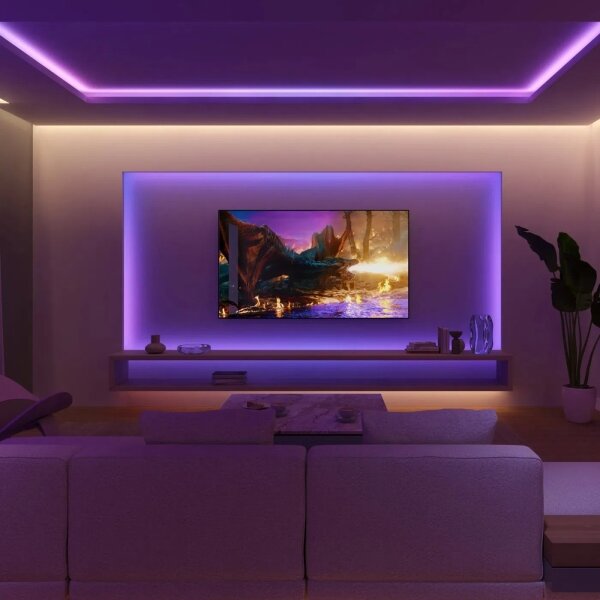 Philips - Set de extensie pentru bandă LED dimmabilă Hue FLUX 2m LED/19,5W/24V 1000-20000K