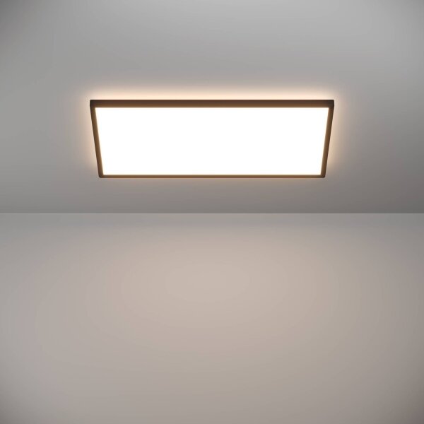 Plafonieră LED de exterior Eglo 901445 ROVITO 17,2W/230V 30x57 cm IP44 negru