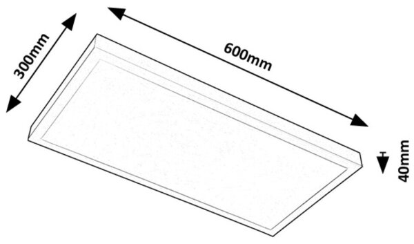 Panou LED aplicat Rabalux 71077 DAMEK LED/24W/230V 4000K 60x30 cm