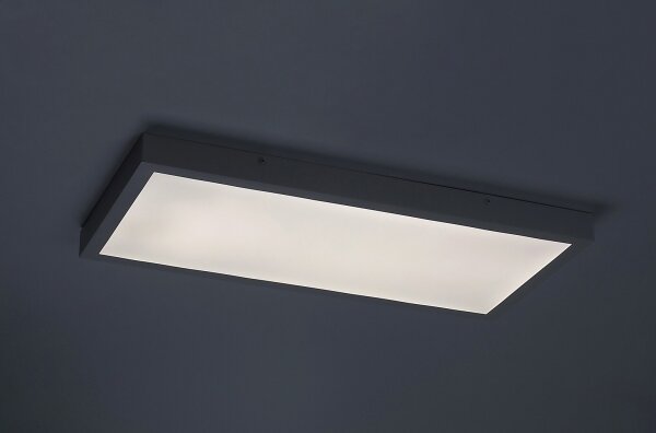 Panou LED aplicat Rabalux 71077 DAMEK LED/24W/230V 4000K 60x30 cm