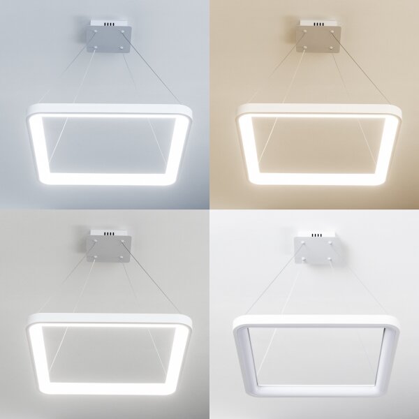 Brilagi - lustră LED reglabilă pe cablu FALCON SLIM LED/50W/230V 50x50 cm albă + telecomandă