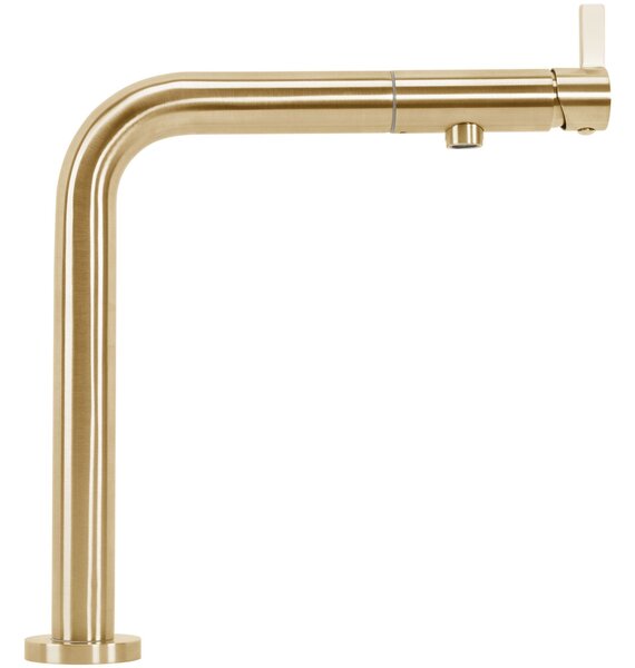 Baterie de bucătărie REA COLE Brush Gold