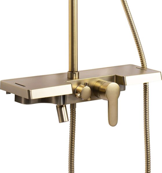 Set dus Rea Bravo Brush Gold