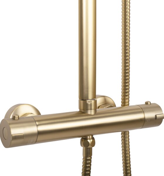 Set dus REA Tom brush gold