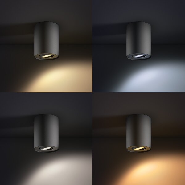 Spot LED dimabil PILLAR Hue 1xGU10/5,5W Philips 56330/30/P7