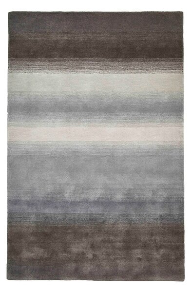 Covor din lână gri 230x150 cm Elements - Think Rugs