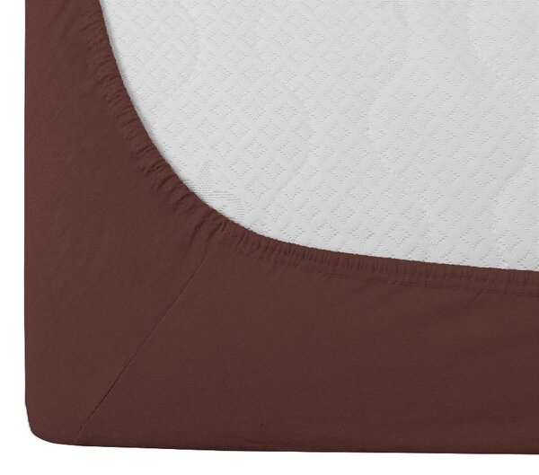 Cearsaf Jersey EXCLUSIVE cu elastic 90x200 cm maro
