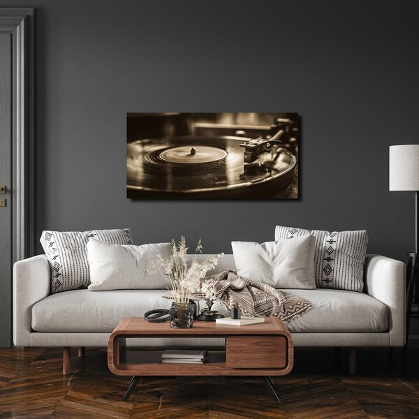 Tablou disc de gramofon vintage