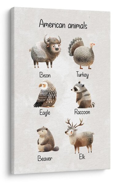 Tablou animale americane în ilustrație
