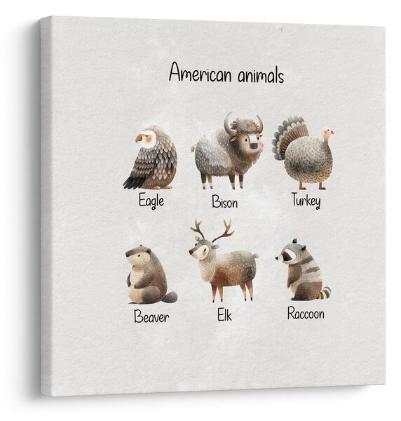 Tablou ilustrații cu animale americane